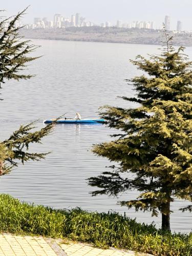 a dog is in a boat on the water at Ezkar Bathonea Art İstanbul in Avcılar