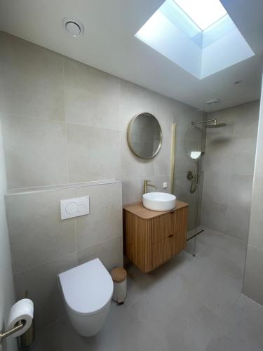 a bathroom with a sink and a toilet and a skylight at Holiday Home Beo in Oostkapelle