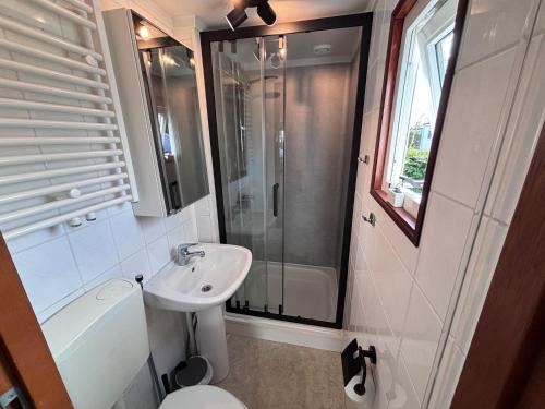 a bathroom with a shower and a sink and a toilet at Northseachalets Ameland in Buren