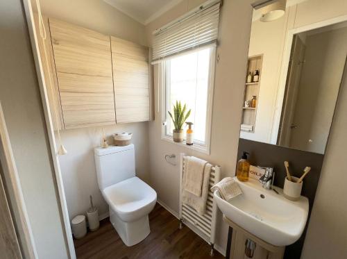 a bathroom with a toilet and a sink and a window at Wild Thistle static Caravan in Kirkcolm