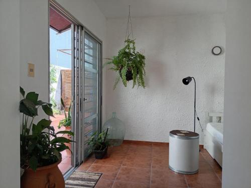 a room with potted plants and a glass door at La Pinta Càlida casa en Malvìn con cochera in Montevideo