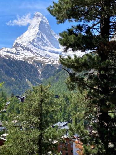 Studio Chalet with terrace & Matterhorn view