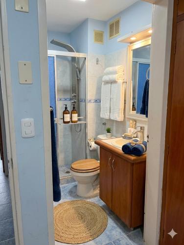 a bathroom with a shower and a toilet and a sink at Águila Marina Suites in Chichiriviche