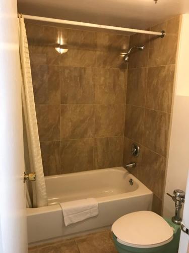 a bathroom with a tub and a toilet and a sink at Travel Inn in Broadview
