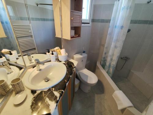 a bathroom with a sink and a toilet and a shower at Villa Ioanna in Agkidia