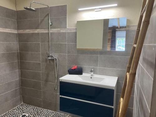 a bathroom with a sink and a shower at Ti Bwa in Sainte-Luce