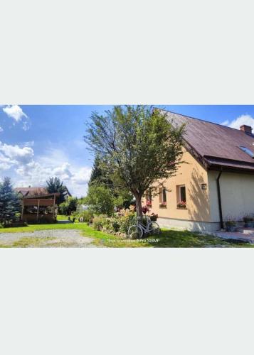 Pokoje gościnne Albinka