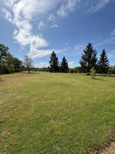 a large field of grass with trees in the background at Le Val Cosy in Montlivault