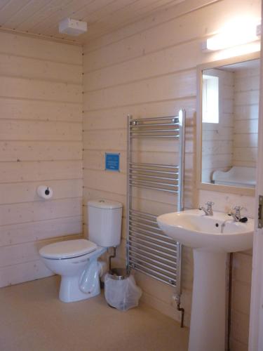a bathroom with a toilet and a sink at Skylark Lodge in Dumfries