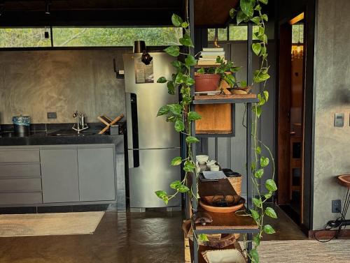 a kitchen with a refrigerator and lots of plants at A nossa casa da arvore in Cavalcante