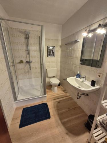 a bathroom with a shower and a toilet and a sink at Ferienwohnung Panorama Schwarzwald in Herrischried
