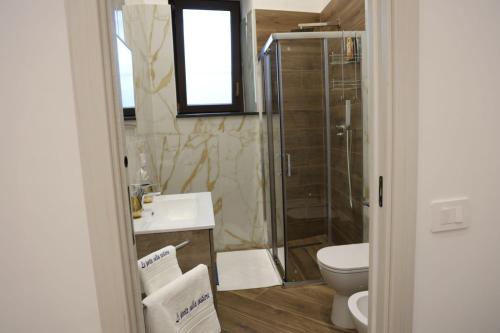 a bathroom with a shower and a toilet and a sink at Le Porte sulla Costiera in Sant'Egidio del Monte Albino