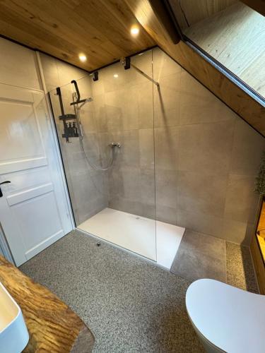 a shower with a glass door in a bathroom at Haus Schönsee - 2 Apartments, ideal für Familien & Freunde in Heede