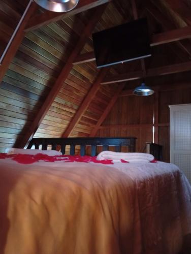 a bedroom with a large bed in a attic at Chalé Bienen Garten in Pomerode