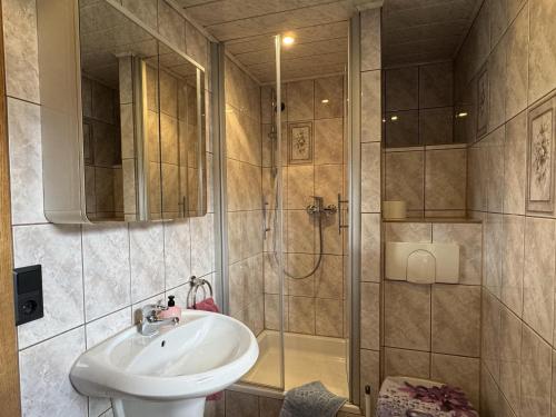 a bathroom with a sink and a shower at Peaceful Forest Getaway in Altenfeld