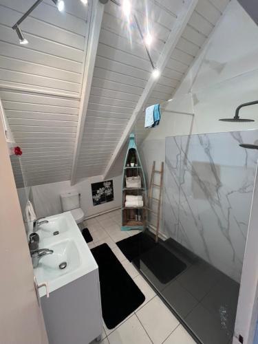 a small bathroom with a sink and a toilet at Villa Caillou in Lamentin
