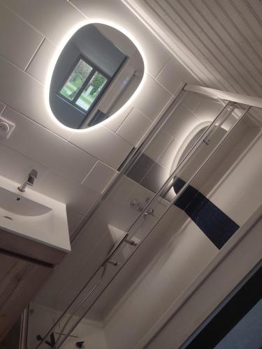 a bathroom with a mirror and a sink at Le 13 au vert in Montigny-les-Monts