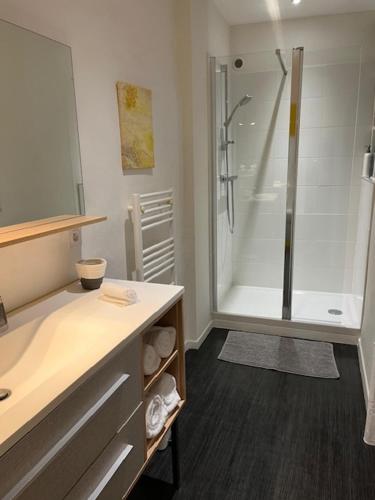 a bathroom with a shower and a sink at In Situ B&B in Uzès