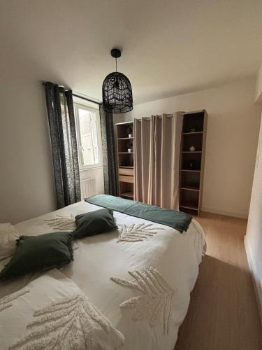 a bedroom with a large bed with two pillows at Centre ville - Le Creusot in Le Creusot