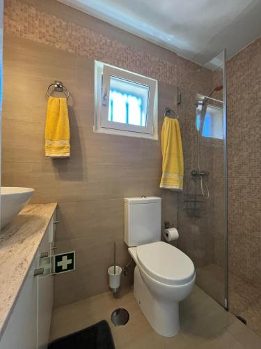 a bathroom with a toilet and a sink and a shower at Beach House Largo da Agrela in Viana do Castelo