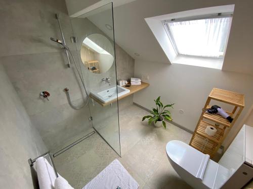 a bathroom with a shower and a sink at Pension Habermannova Vila in Bludov
