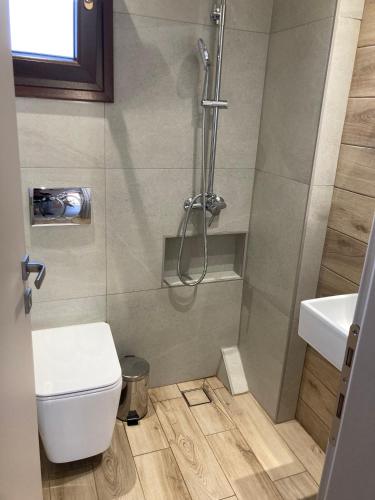 a bathroom with a shower and a toilet and a sink at La casa di Zoe in Flogita