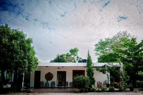 a house with chairs and trees in front of it at Hotel Palmas del Río Mompox in Mompos