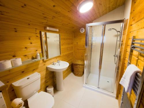 a bathroom with a toilet and a shower and a sink at Tormore Cabin in Carrbridge