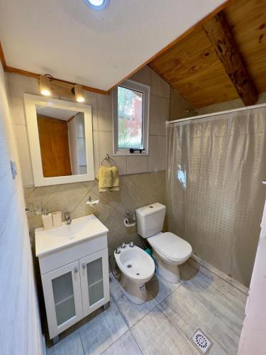 a bathroom with a toilet and a sink at Cielo Azul 2 in Villa Pehuenia