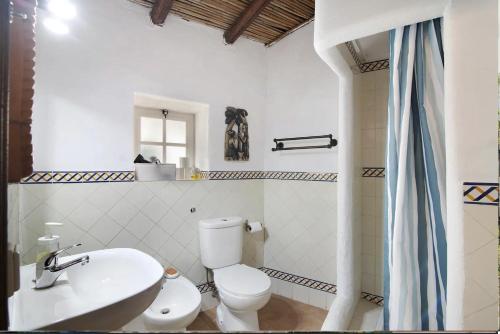 a bathroom with a white toilet and a sink at Casa Delfim - Casas Azul&Verde in Alte
