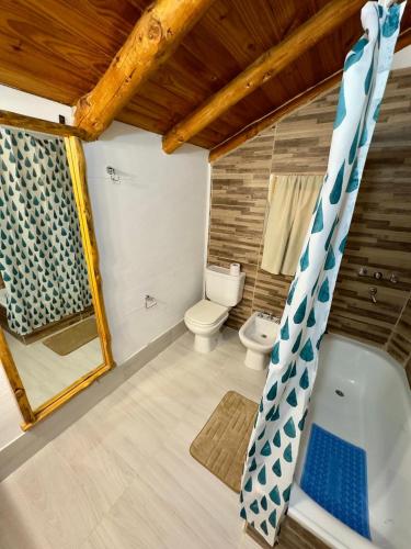 a bathroom with a toilet and a bath tub at Cielo Azul 4 in Villa Pehuenia