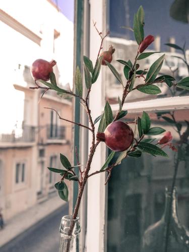 Cozy Lisbon Janelas Verdes