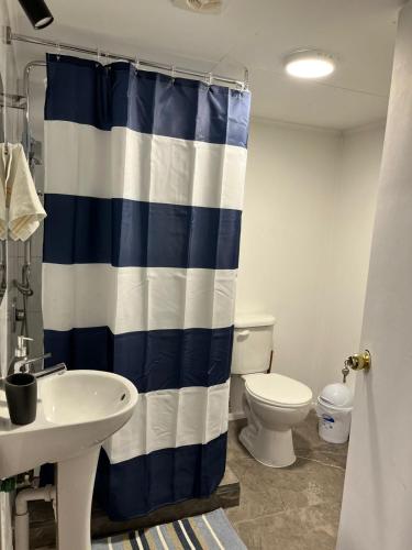 a bathroom with a toilet and a blue and white shower curtain at Cabaña Centro in Coihaique