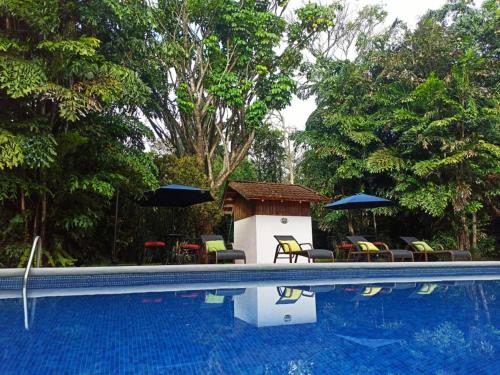 a swimming pool with a house and chairs and umbrellas at Hacienda Escondida 10min to Airport in Alajuela