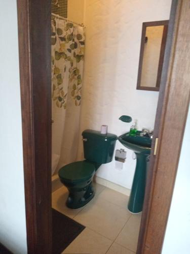 a bathroom with a green toilet and a sink at Casona Rosa Lorenza in Corrales
