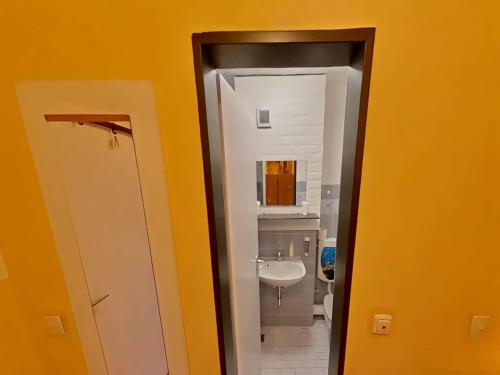 a bathroom with a sink and a toilet in a room at Studio Rainer mit Pool und Sauna in Freyung
