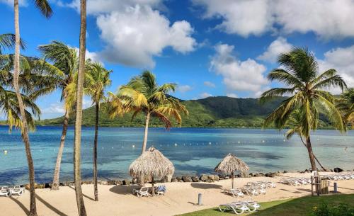a beach with palm trees and chairs and the ocean at Appartement Patronus à 3 min PLAGE POINTE MARIN in Sainte-Anne