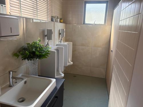 Guesthouse NanairoDougoなないろゲストハウス