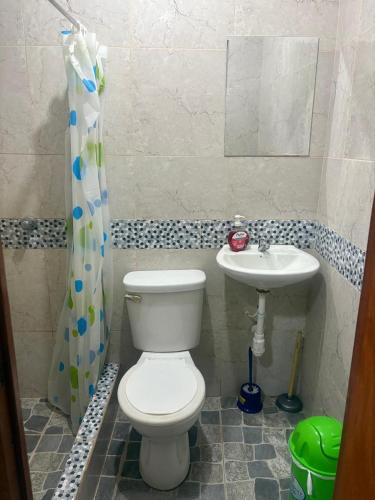 a bathroom with a toilet and a sink at La Lagartija Iquitos in Iquitos