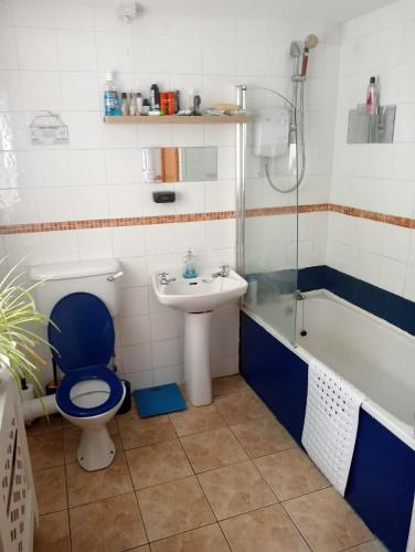 a bathroom with a toilet and a sink and a shower at Mountjoy House in Derry Londonderry