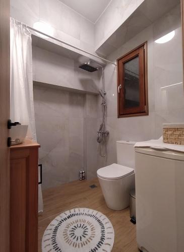 a bathroom with a toilet and a sink and a shower at Metsovo apartment in Metsovo