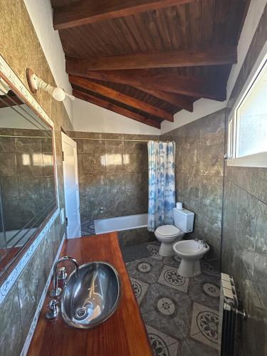 a bathroom with a sink and a toilet at Hostel Acuarelas in El Chalten