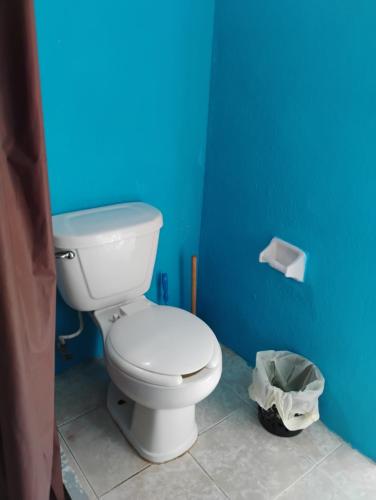 a bathroom with a white toilet in a blue wall at Linda Vista Garden Cancun, Privado con AC y WiFi Cerca de Transporte a Zona Hotelera in Cancún