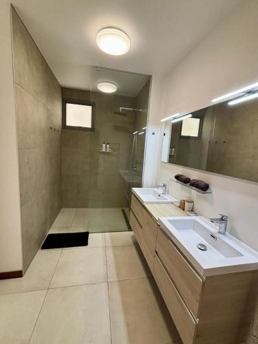 a bathroom with a sink and a shower at Tahiti Ethnik 2 bedrooms AC Pool in Punaauia