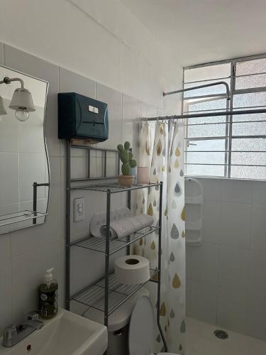 a bathroom with a shower and a toilet and a sink at Cozy house near downtown in Orizaba