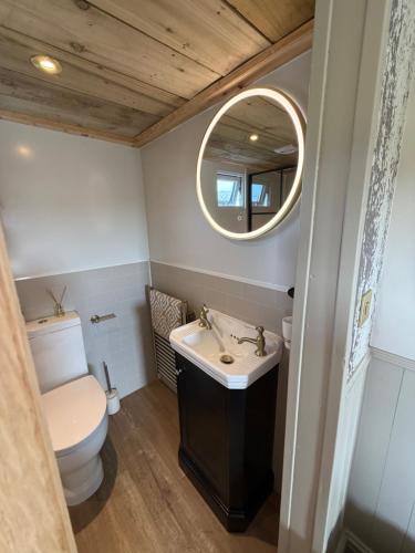a bathroom with a toilet and a sink and a mirror at The Shepherds Chalet in Garstang