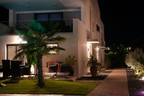 a house at night with a palm tree in the yard at Villa Martina in Novigrad Istria
