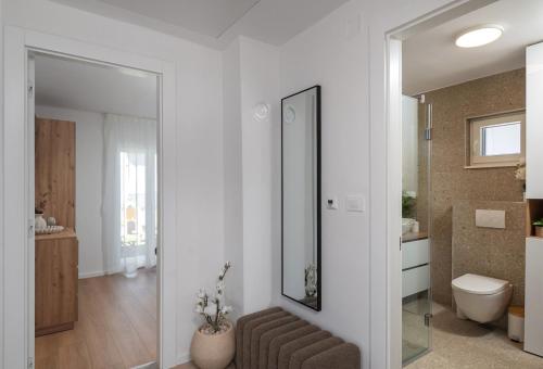 a bathroom with a sink and a toilet and a mirror at Casa Mia in Danilo Biranj