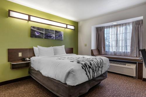 a hotel room with a large bed and a window at Sleep Inn & Suites Kalamazoo Southwest in Kalamazoo