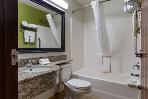 a bathroom with a white toilet and a sink and a tub at Sleep Inn & Suites Kalamazoo Southwest in Kalamazoo